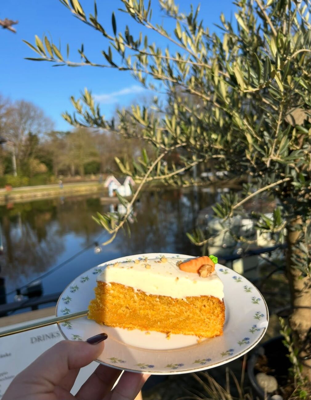 Kuchen mit Karottenglasur